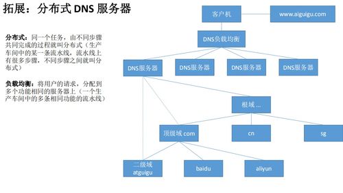 Linux云计算网络服务基石 DNS域名系统解析与软件定义部署